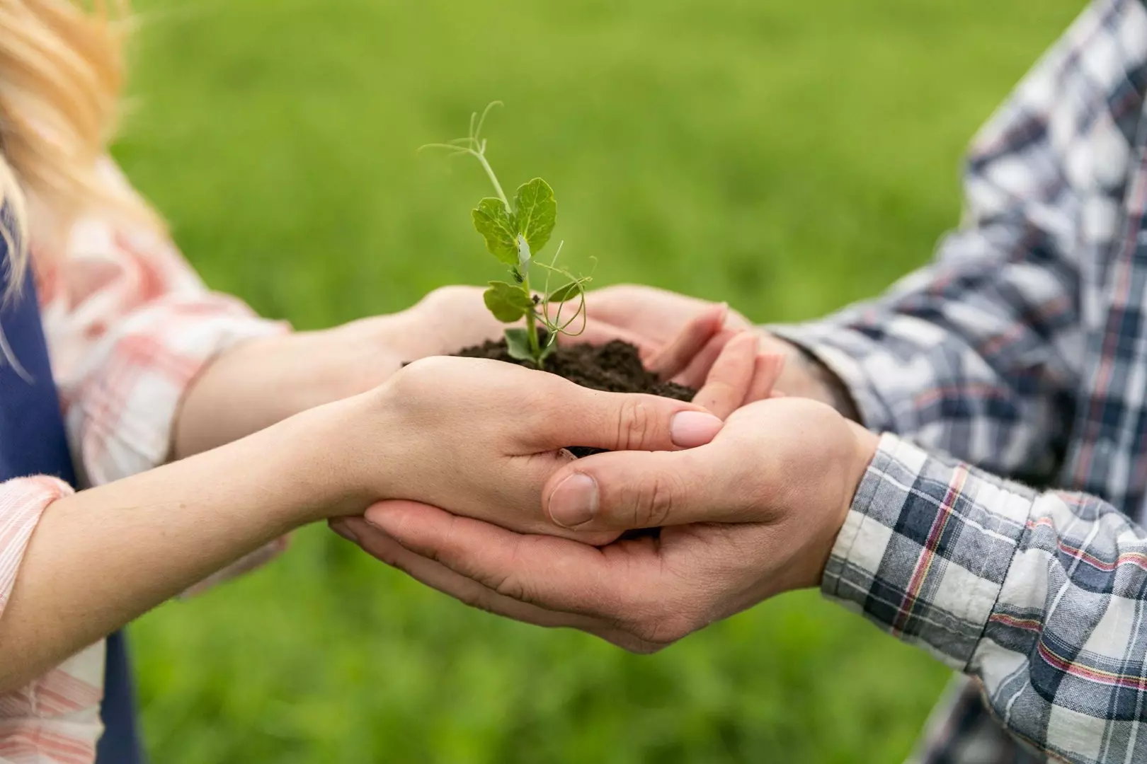 Conscientização sobre decomposição de resíduos é fundamental para a preservação ambiental