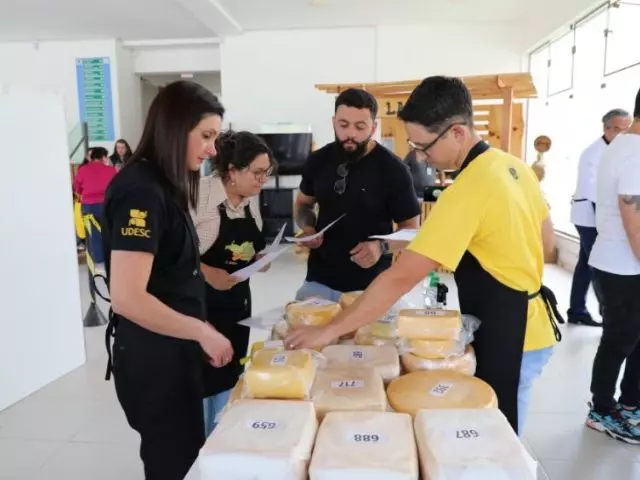 Concurso vai escolher os melhores queijos artesanais de Santa Catarina