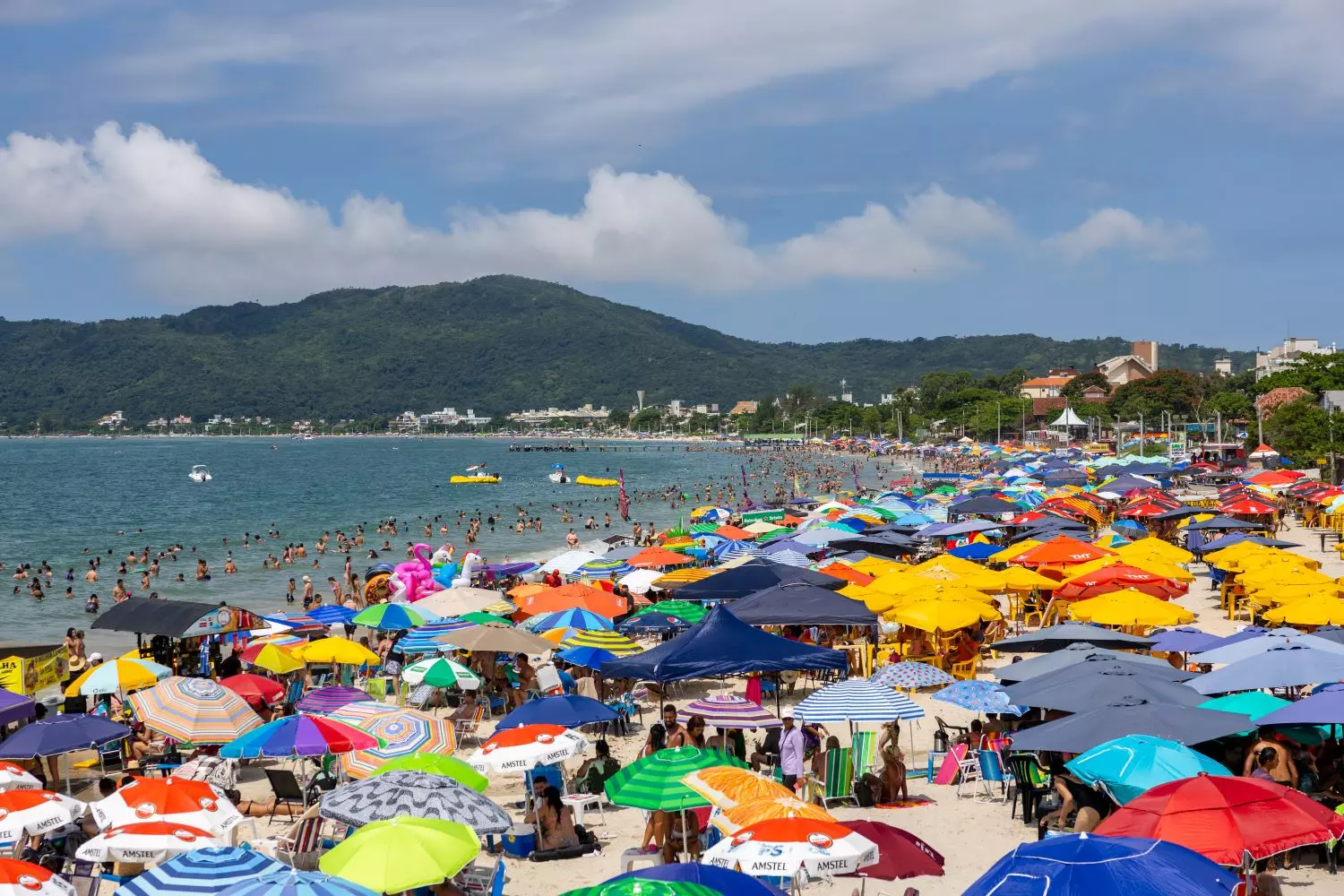 Golpes de verão: veja os mais comuns e as dicas do Procon SC para evitá-los