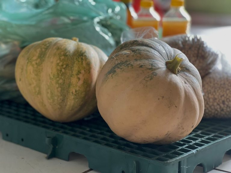 Prefeitura de União garante abastecimento semanal de merenda escolar