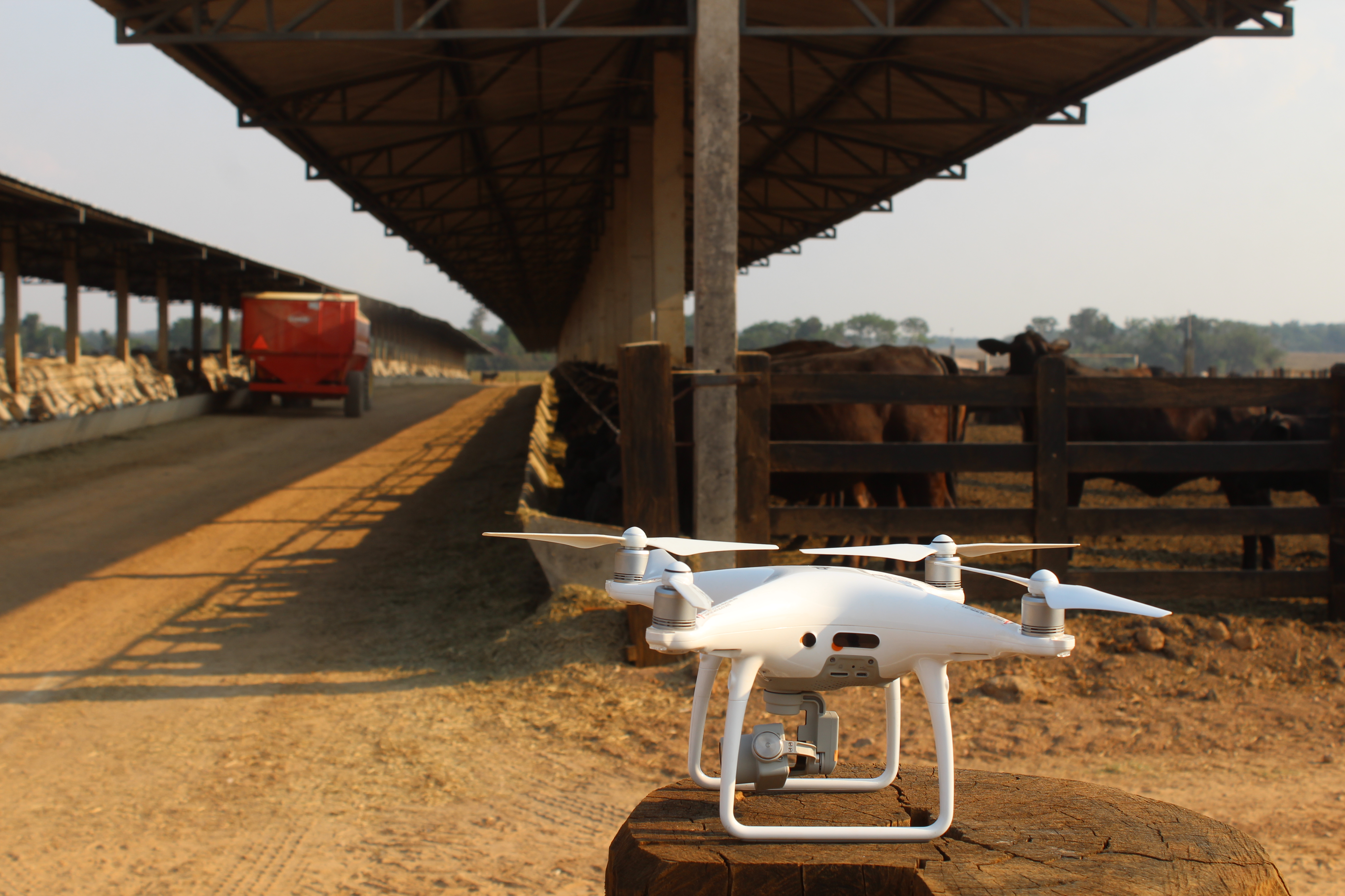 USO DE DRONES NA AGROPECUÁRIA MATO-GROSSENSE