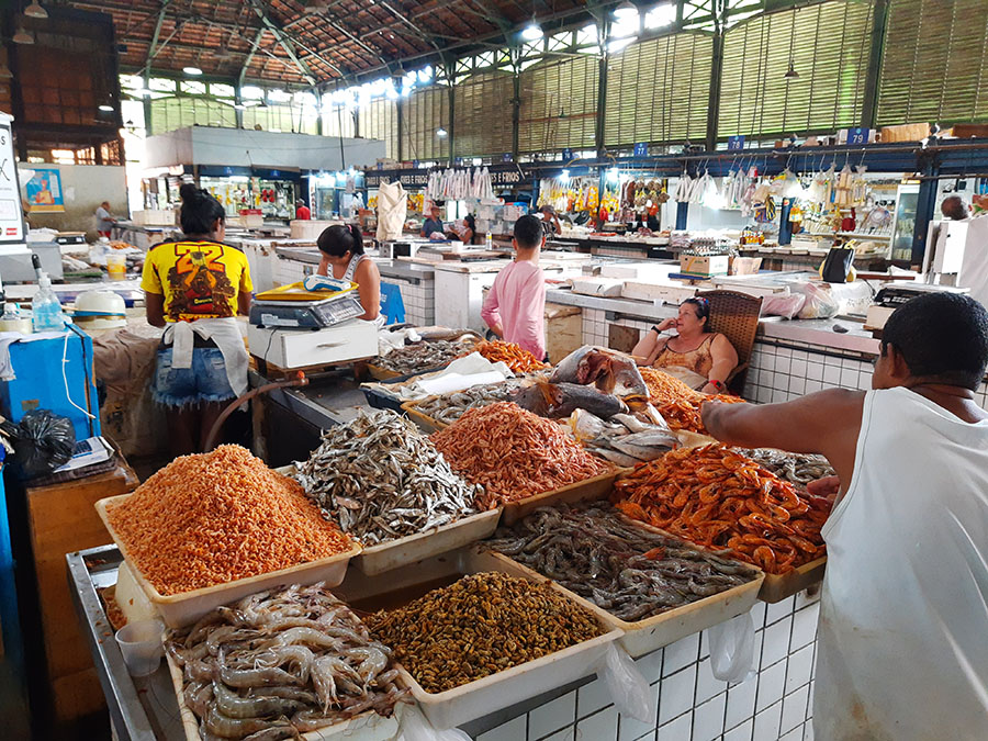 Resíduos de alimentos das cidades podem ser usados ??em compostagem ou produção de biogás