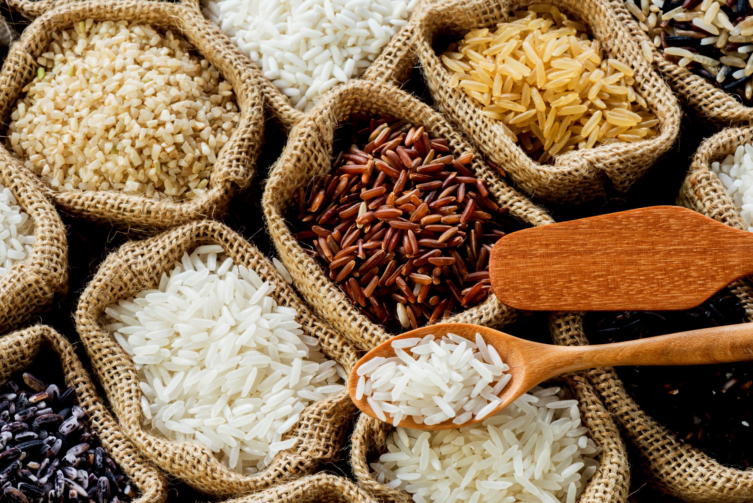 Branco, vermelho, negro, arbóreo, basmati: conheça mais sobre os tipos de arroz