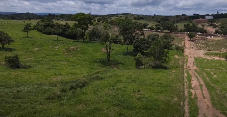 Ferramenta mensura balanço de carbono em quase 500 fazendas