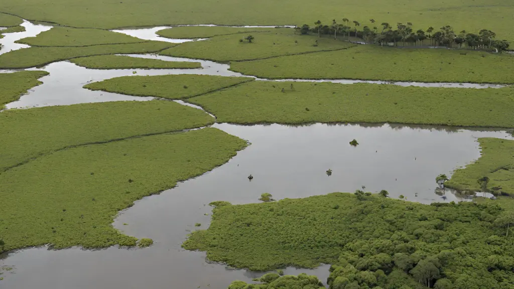 Com Lei do Pantanal, produtores poderão ser remunerados por reserva legal