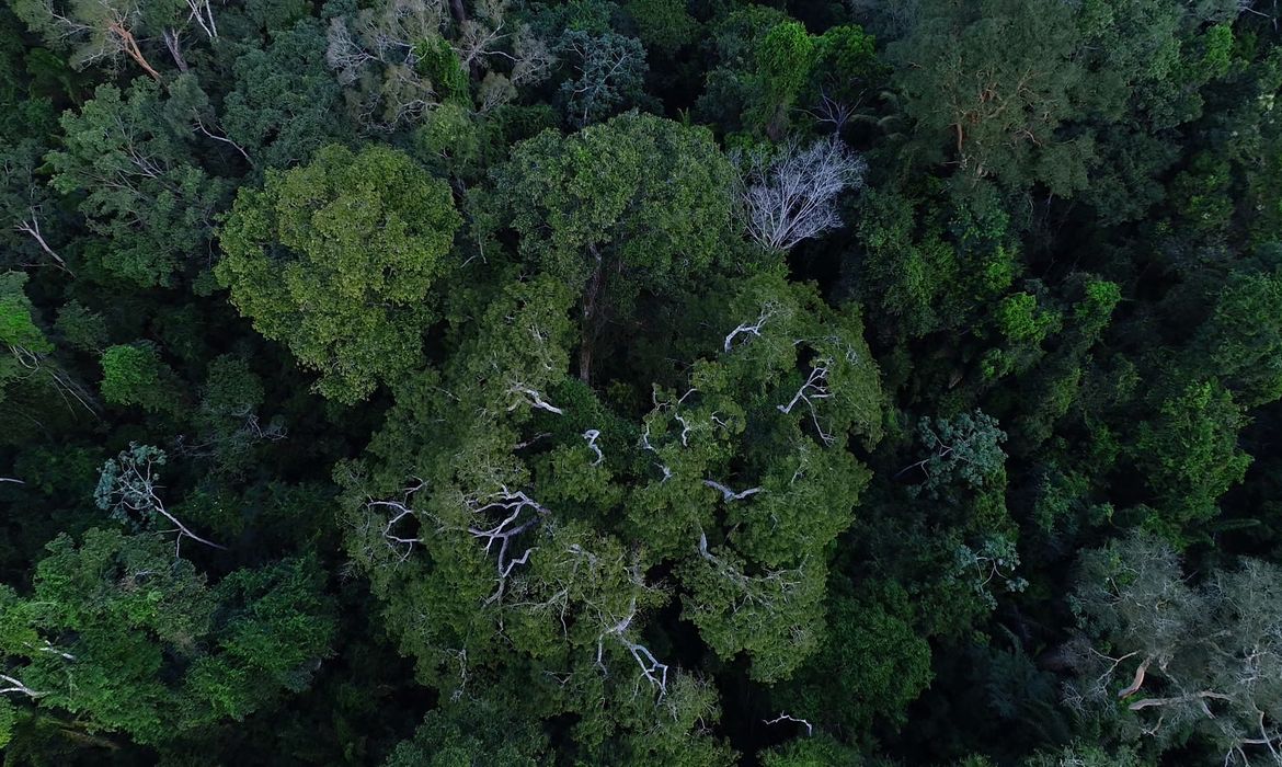 Preservar biodiversidade gera renda a produtores rurais