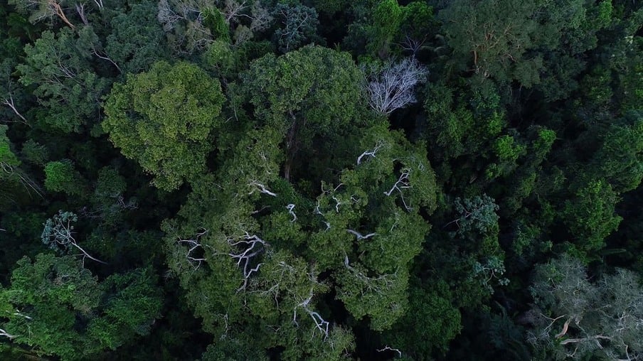 Câmara Temática de Agrocarbono Sustentável começa em março