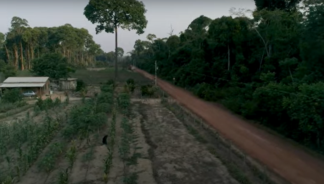 PROJETO GAIA- REDE DE COOPERAÇÃO PARA SUSTENTABILIDADE