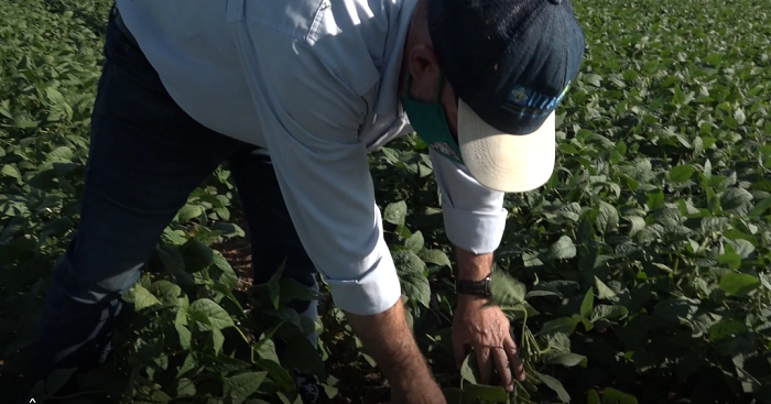 ENGENHEIRO AGRÔNOMO- 90 ANOS DE CONTRIBUIÇÃO À AGROPECUÁRIA BRASILEIRA