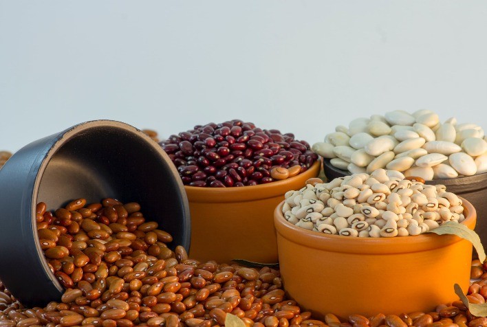 PULSE DAY- PRODUÇÃO DE FEIJÕES E PULSES