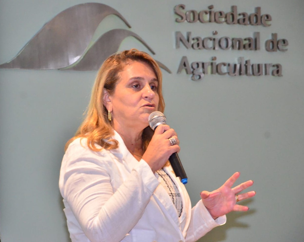 Os quatro desafios da agricultura brasileira em 2024, segundo a presidente da Embrapa