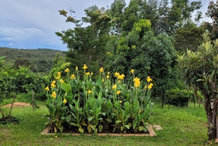 Emater-MG incentiva uso de tecnologias de saneamento rural de baixo custo