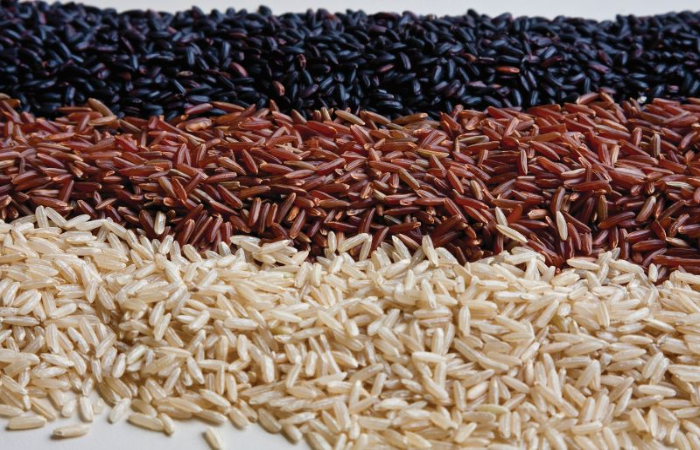 O arroz, seus tipos e principais diferenças nutricionais