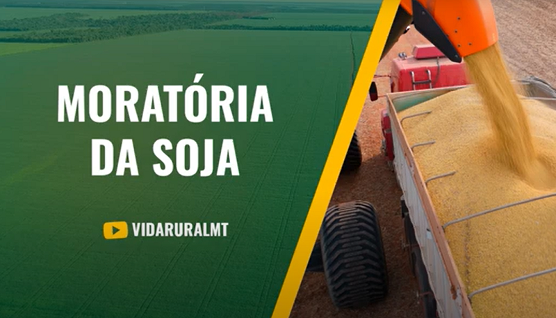 CÂMARAS MUNICIPAIS SE MOBILIZAM CONTRA A MORATÓRIA DA SOJA