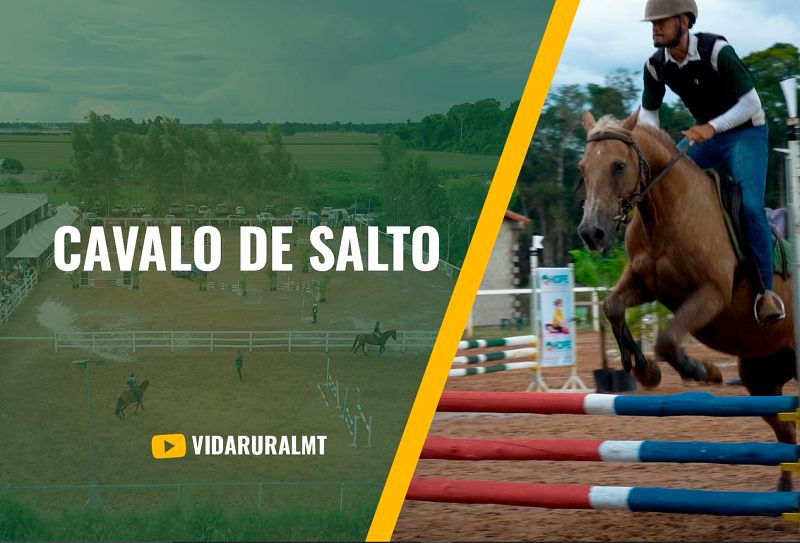 HIPISMO CLÁSSICO - SINOP MT REALIZA 1ª ETAPA DO RANKING DE 2024