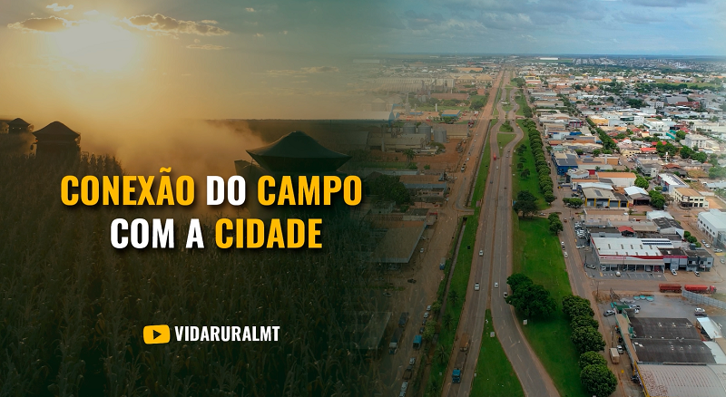 CONEXÃO DO CAMPO COM A CIDADE ATRAVÉS DAS ESCOLAS