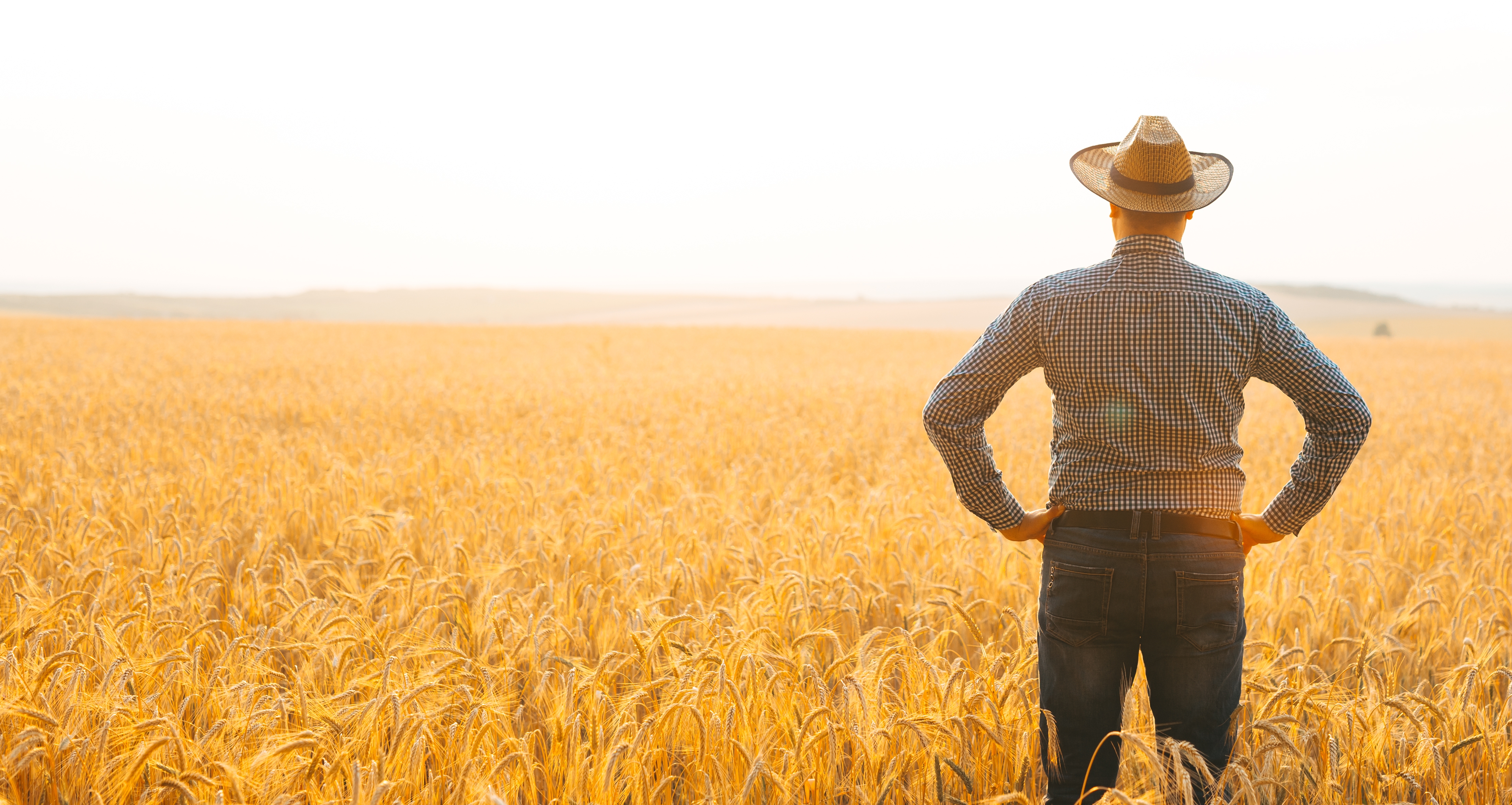 Agro: Reforma Tributária ainda precisa ser lapidada