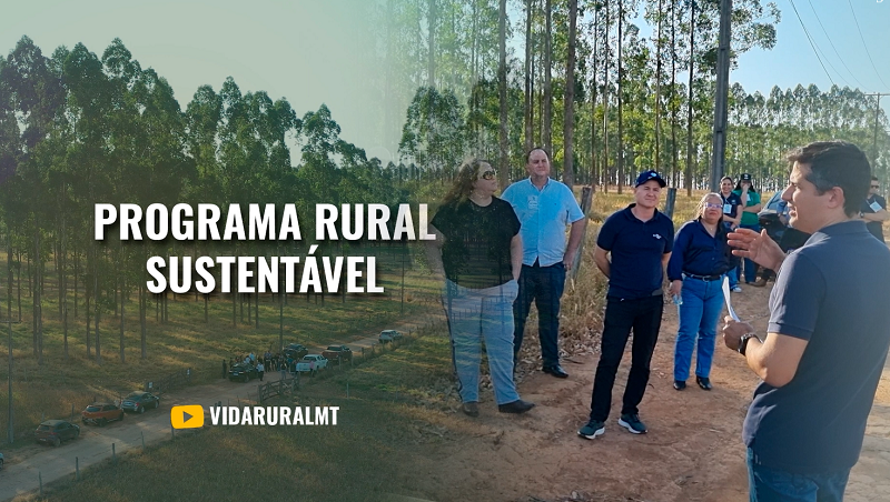 SEMINÁRIO DE PESQUISAS QUE IMPULSIONAM O RURAL SUSTENTÁVEL