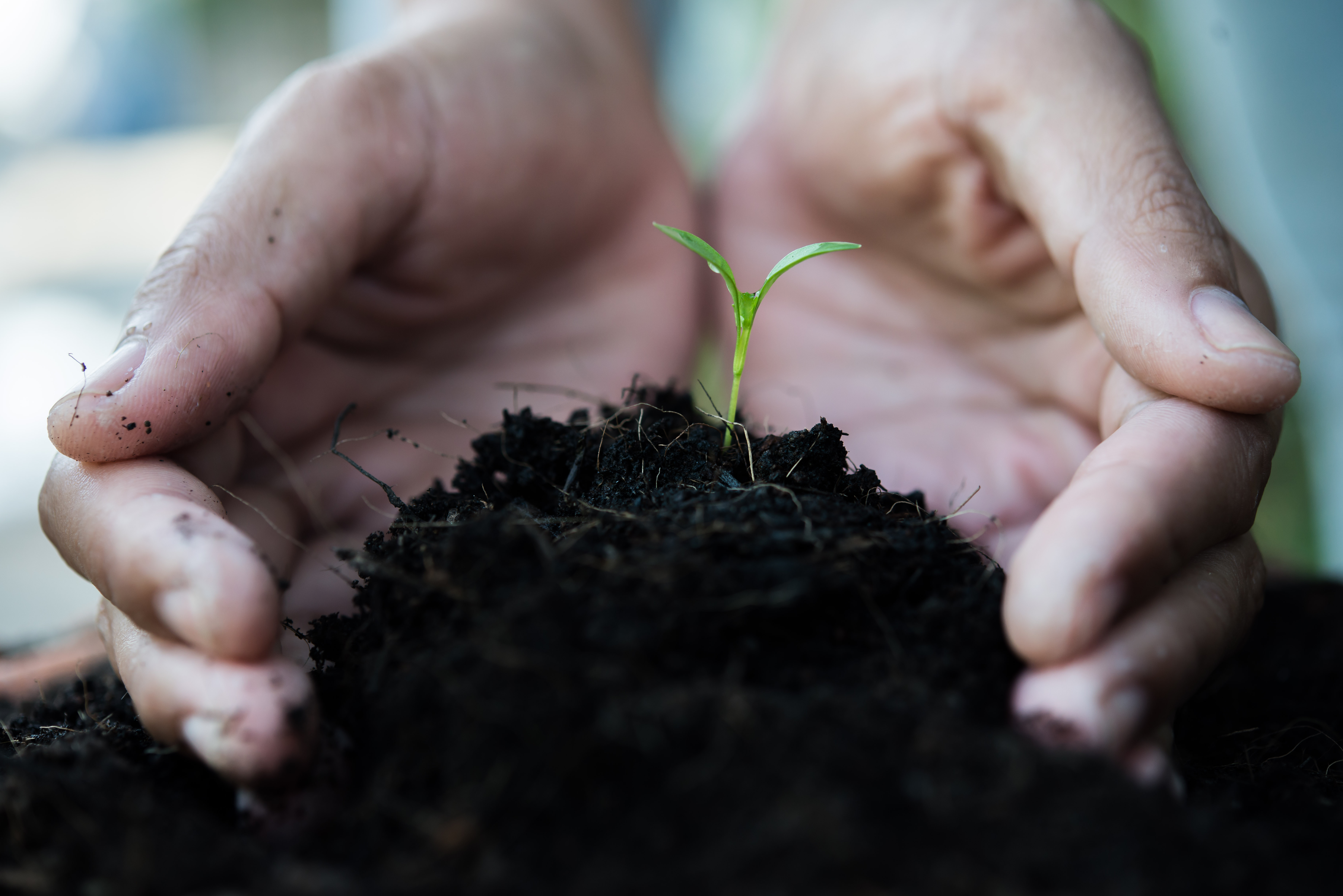 Pesquisadora destaca relevância dos bioinsumos para agricultura sustentável