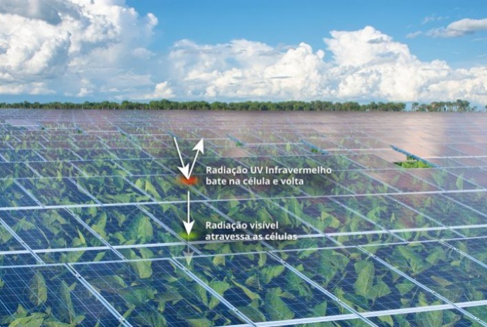 Inovações com Bionanomateriais Prometem Revolucionar Construção Civil, Agricultura e Produção de Biocombustíveis