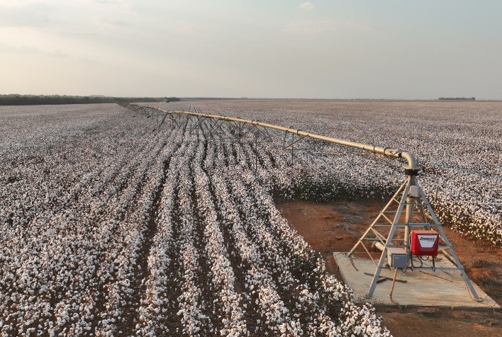 Congresso Brasileiro do Algodão Enfatiza Avanços em Tecnologias de Irrigação