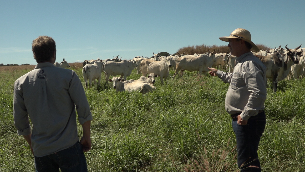 Sucessão familiar no agro: como atrair os jovens para o campo?