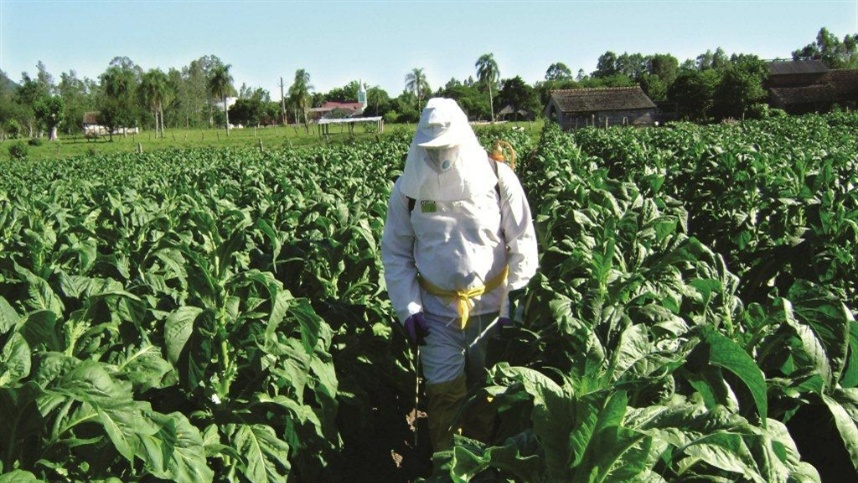 Redução de reprovações em EPIs agrícolas no Brasil