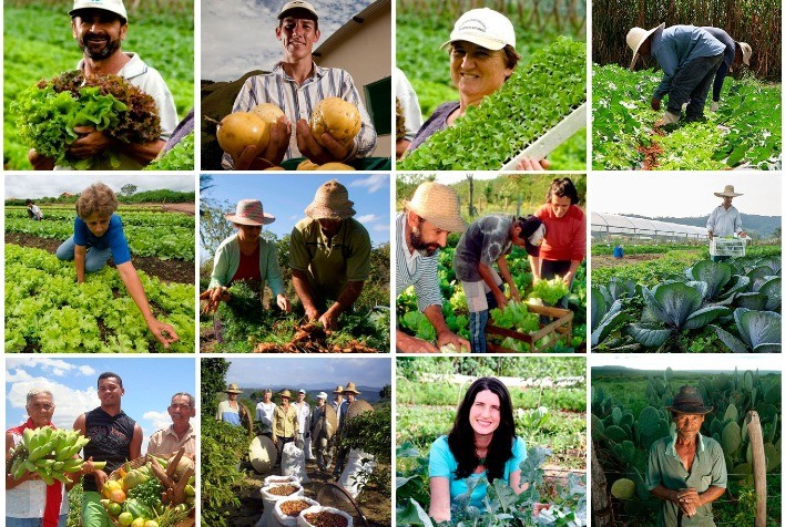 A agricultura familiar é essencial para o Brasil