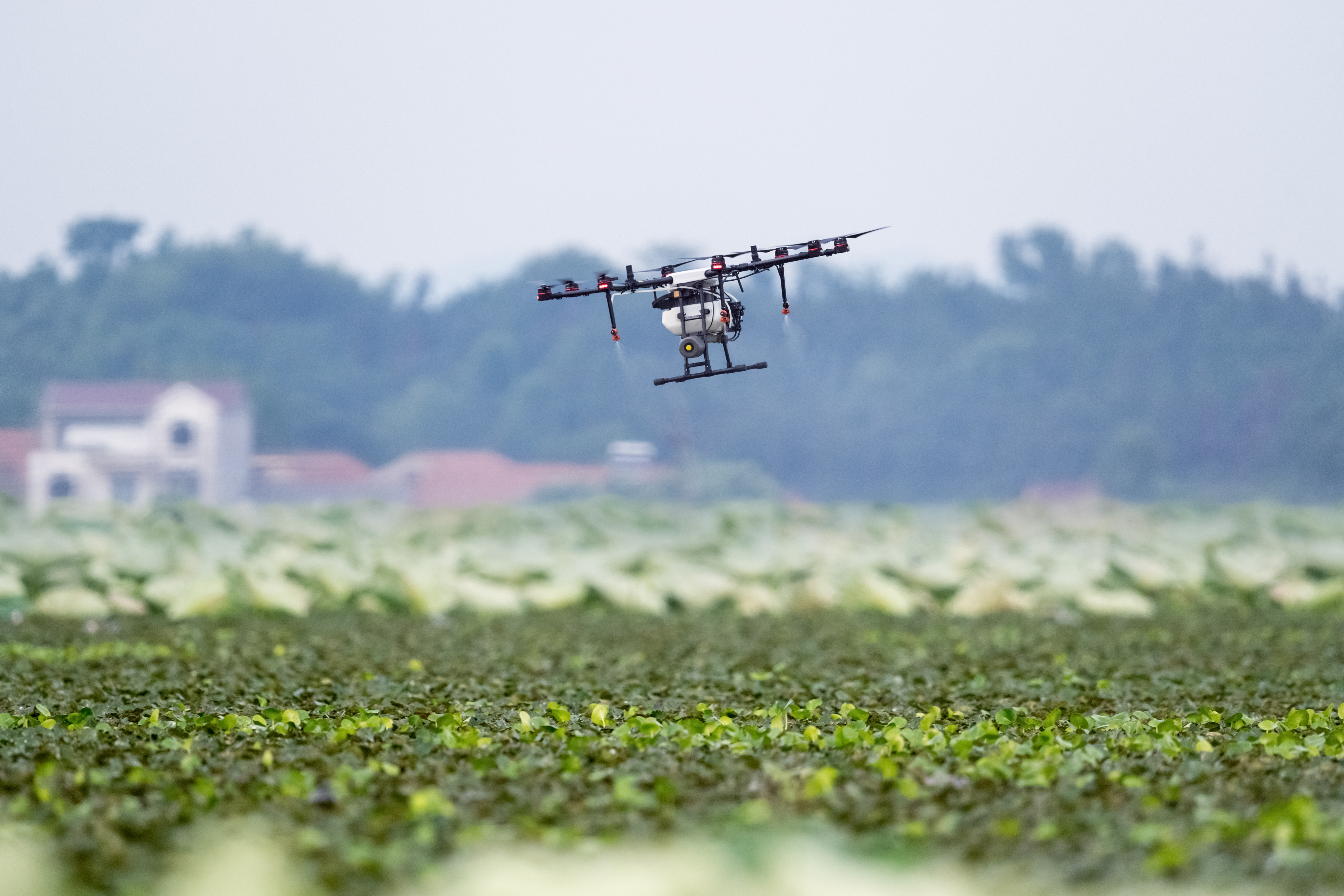 Tecnologia e Sustentabilidade Impulsionam o Agronegócio Brasileiro