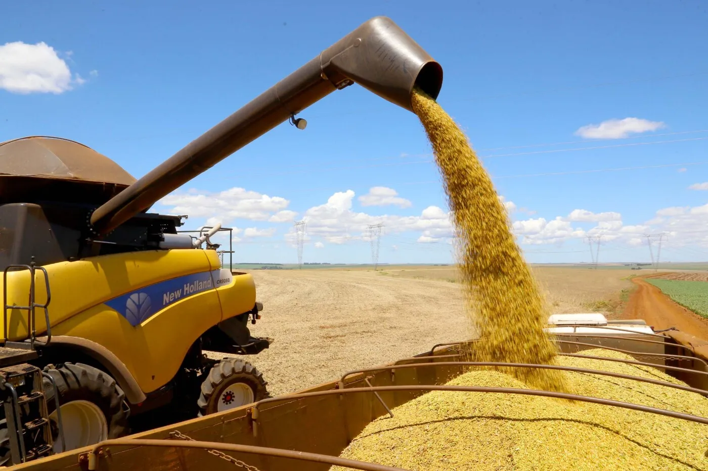 Conab aponta queda na produção de grãos; novo levantamento projeta 298,41 milhões de toneladas no Brasil