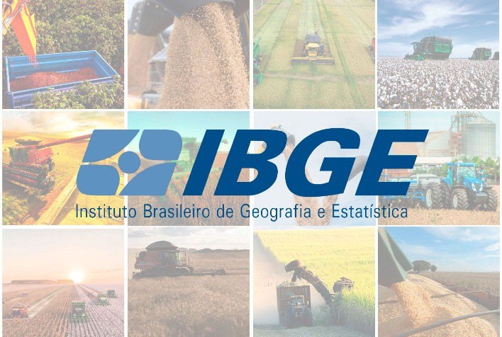 IBGE projeta safra de 296,4 milhões de toneladas para 2024