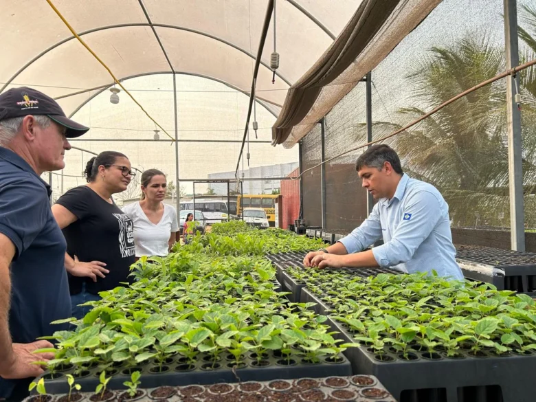 Curso de Produção de Mudas Nativas é realizado para incentivar produtores à prática da recuperação ambiental