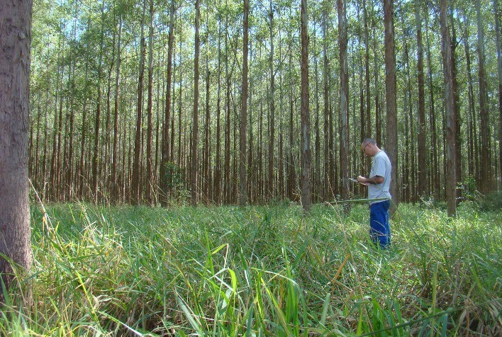 Desenvolvimento de Protocolo para Monitoramento de Emissões de GEE Revoluciona a Agricultura Brasileira