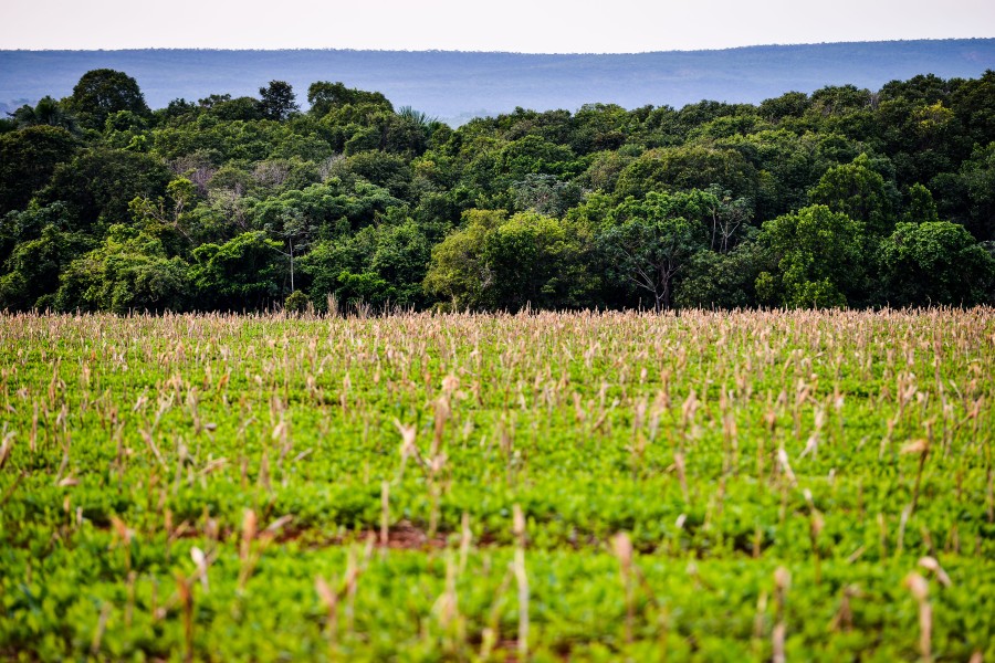 Comissão da Aprosoja-MT atualiza produtores sobre as ações da Sustentabilidade