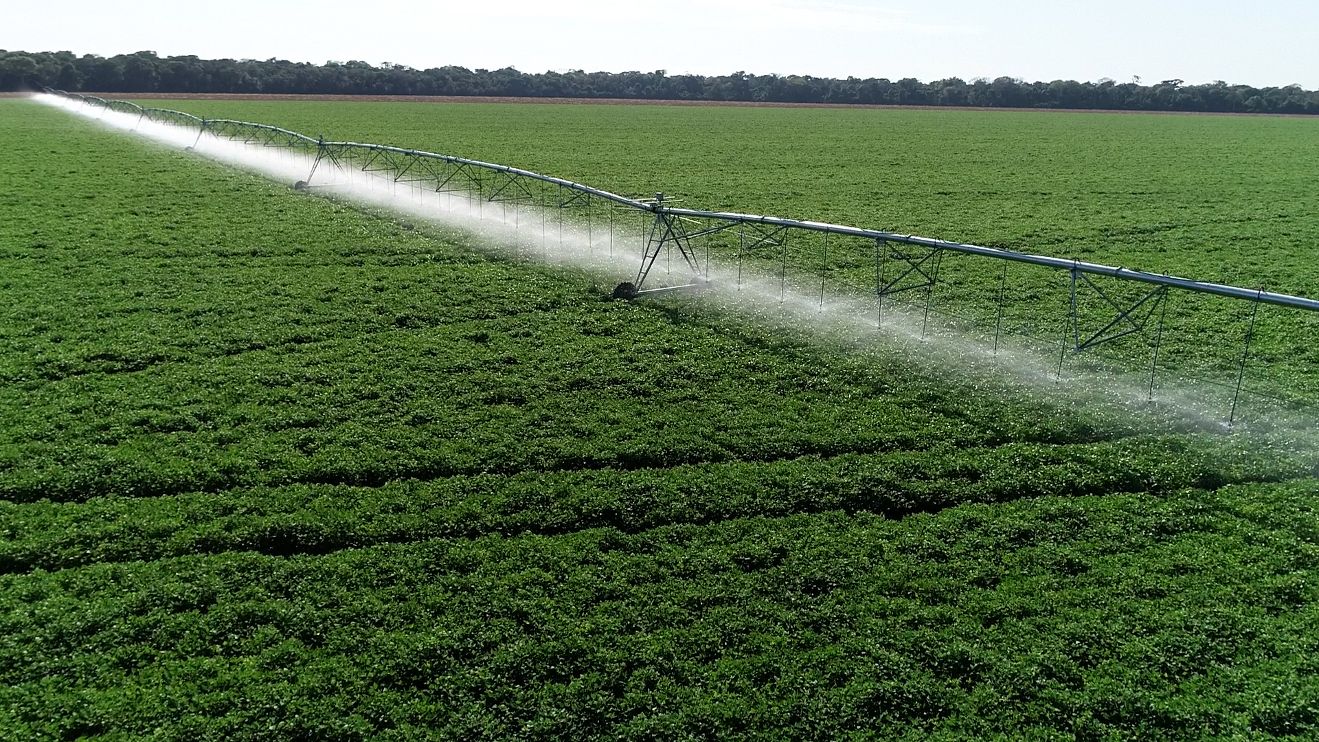 Brasil e Japão assinam memorando para fortalecimento da cooperação agrícola