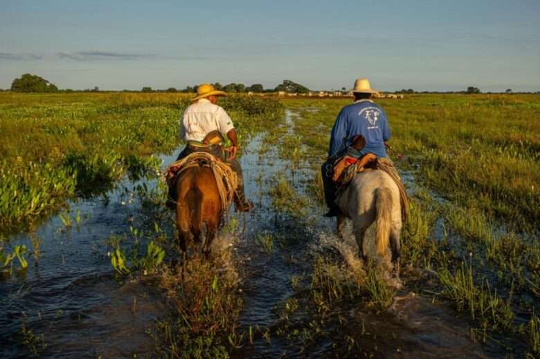 Programa Fazenda Pantaneira Sustentável irá expandir atendimentos a produtores