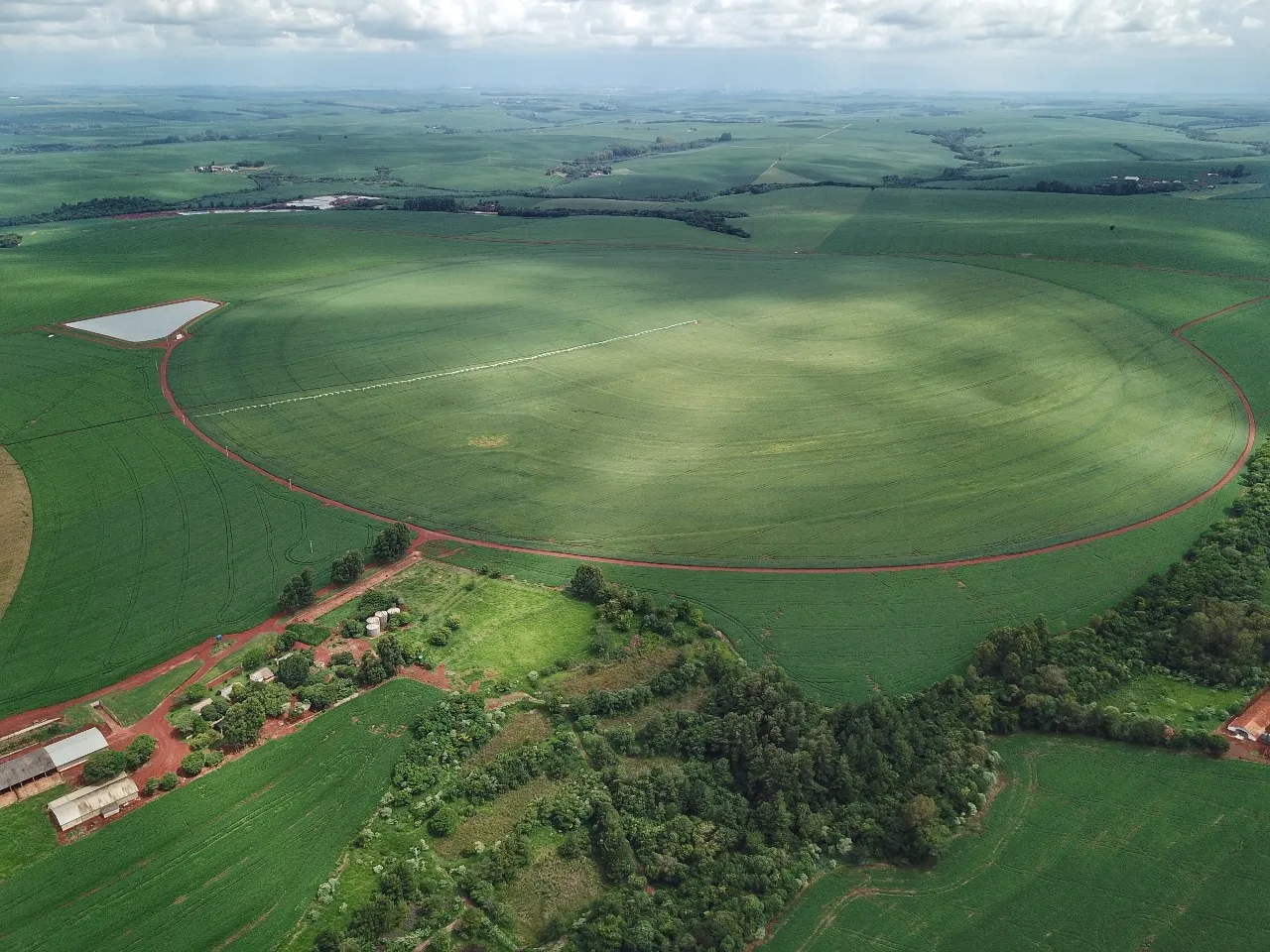 Conab apresenta as perspectivas para a agropecuária 2024/25