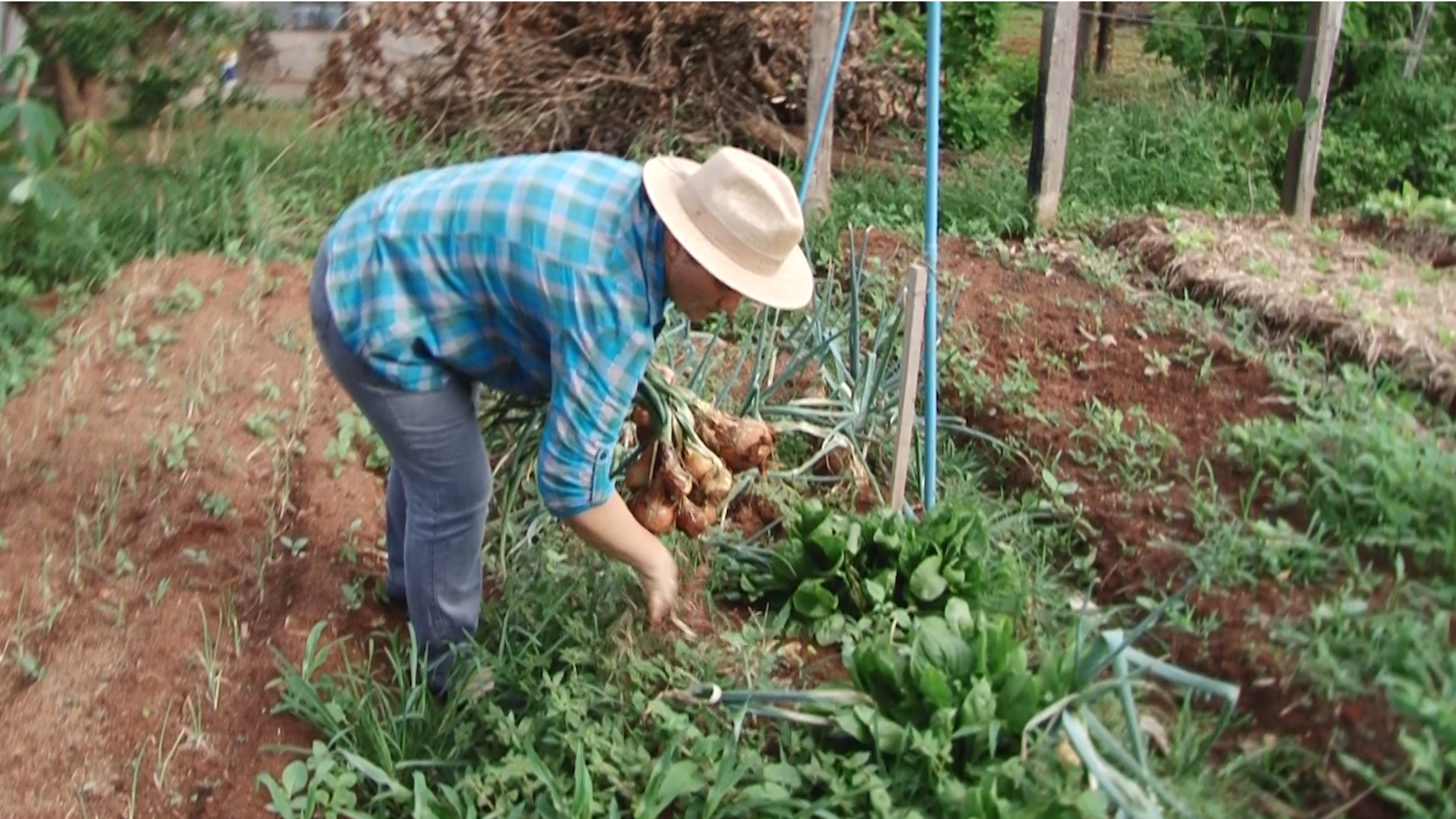 Direitos Essenciais para Trabalhadores do Agronegócio: O Que Você Precisa Saber