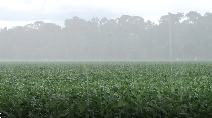 Mato Grosso se prepara para aumento significativo de chuvas após período de seca