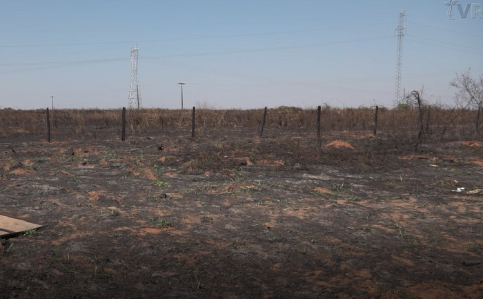 Impactos das Queimadas sobre Produtores de Commodities Agrícolas