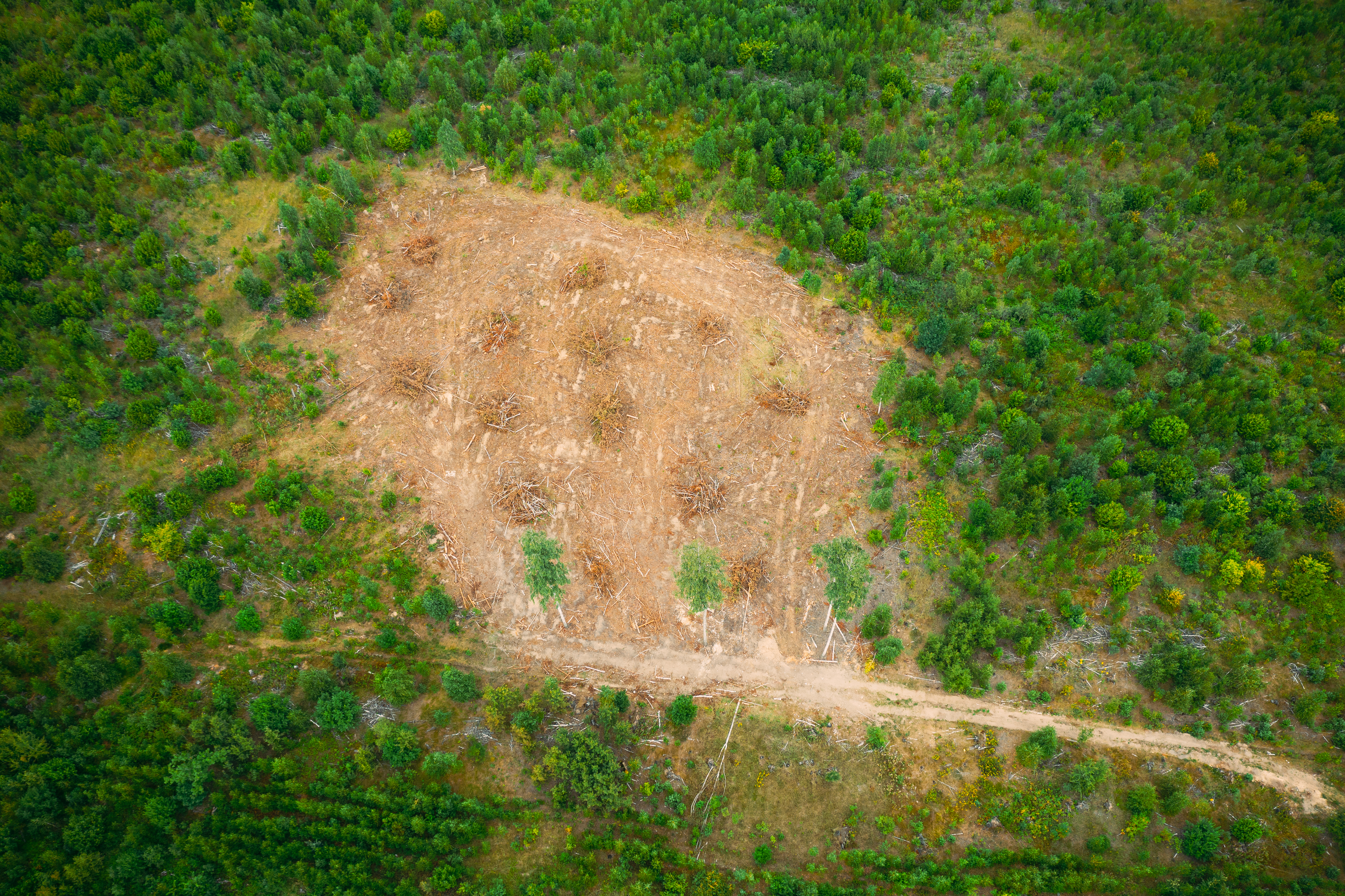 Ministério da Agricultura pede ao Ministério da Fazenda para revisar regras que limitam o crédito por embargos ambientais