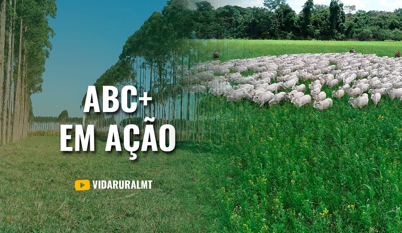 ABC+ CIRCUITO PASSA POR 10 MUNICÍPIOS DE MT ATÉ NOVEMBRO