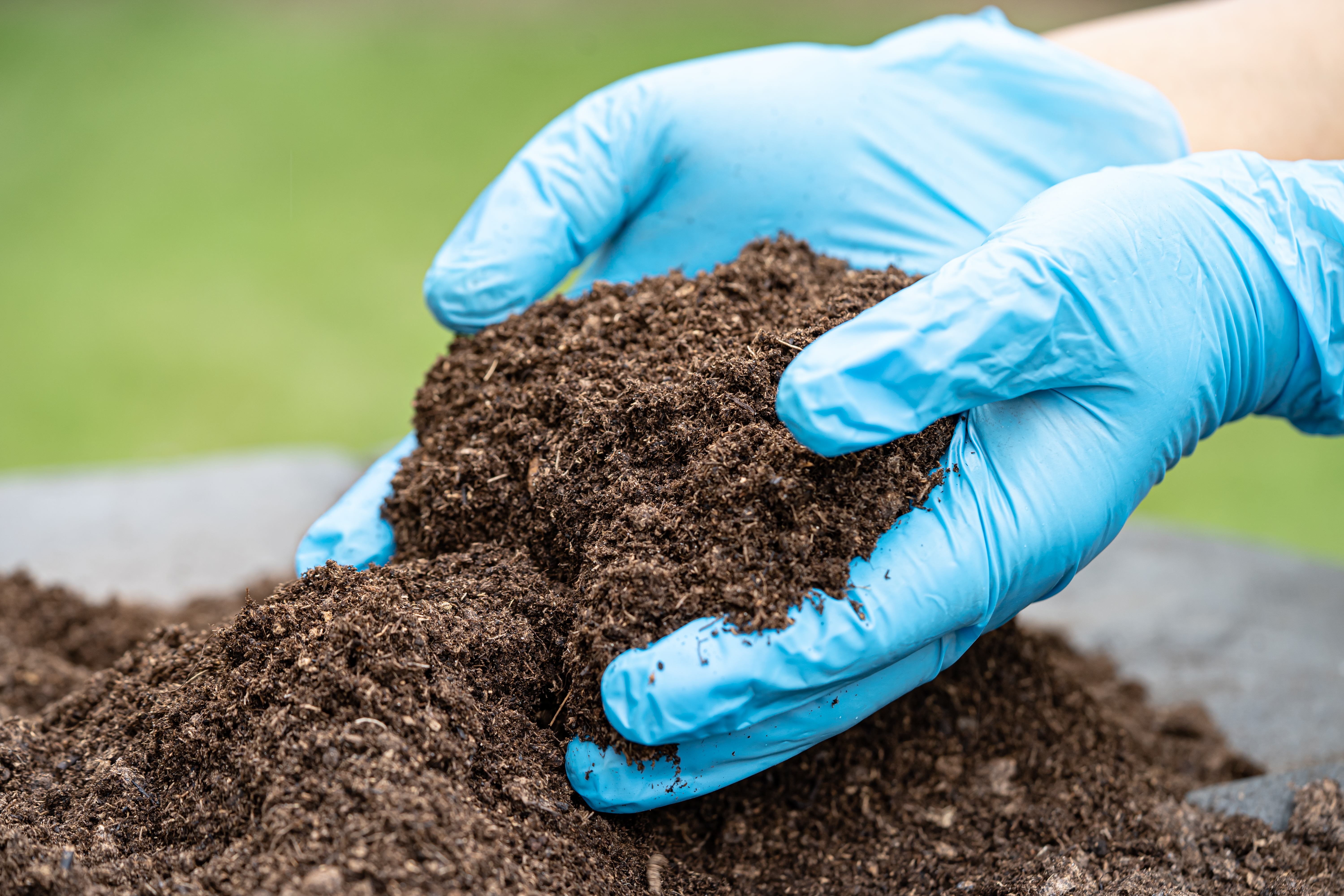 Produção de bioinsumos on-farm