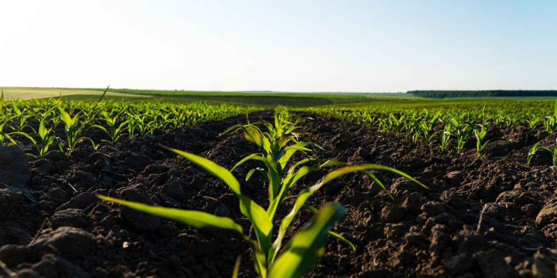 Brasil é líder mundial em uso de biofertilizantes e biodefensivos