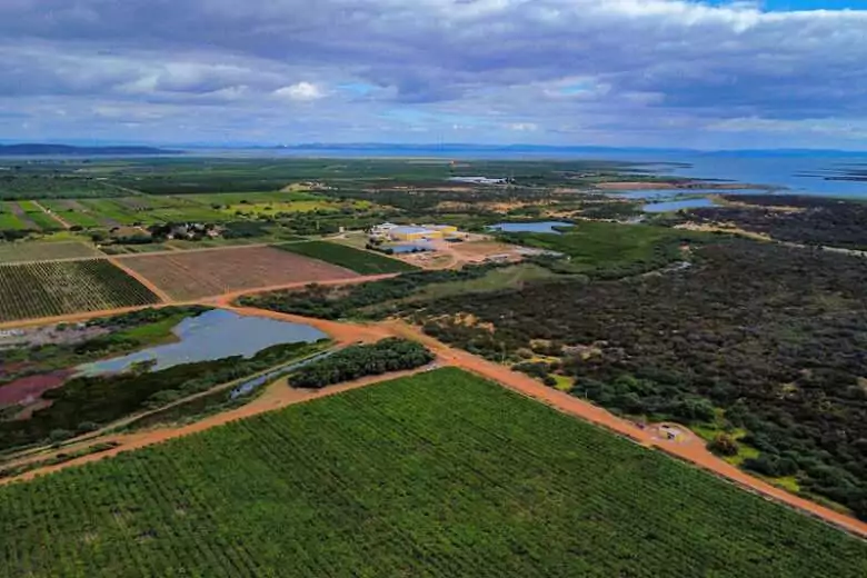 Áreas produtivas regularizadas mostram menor incidência de focos de calor, aponta Inpe