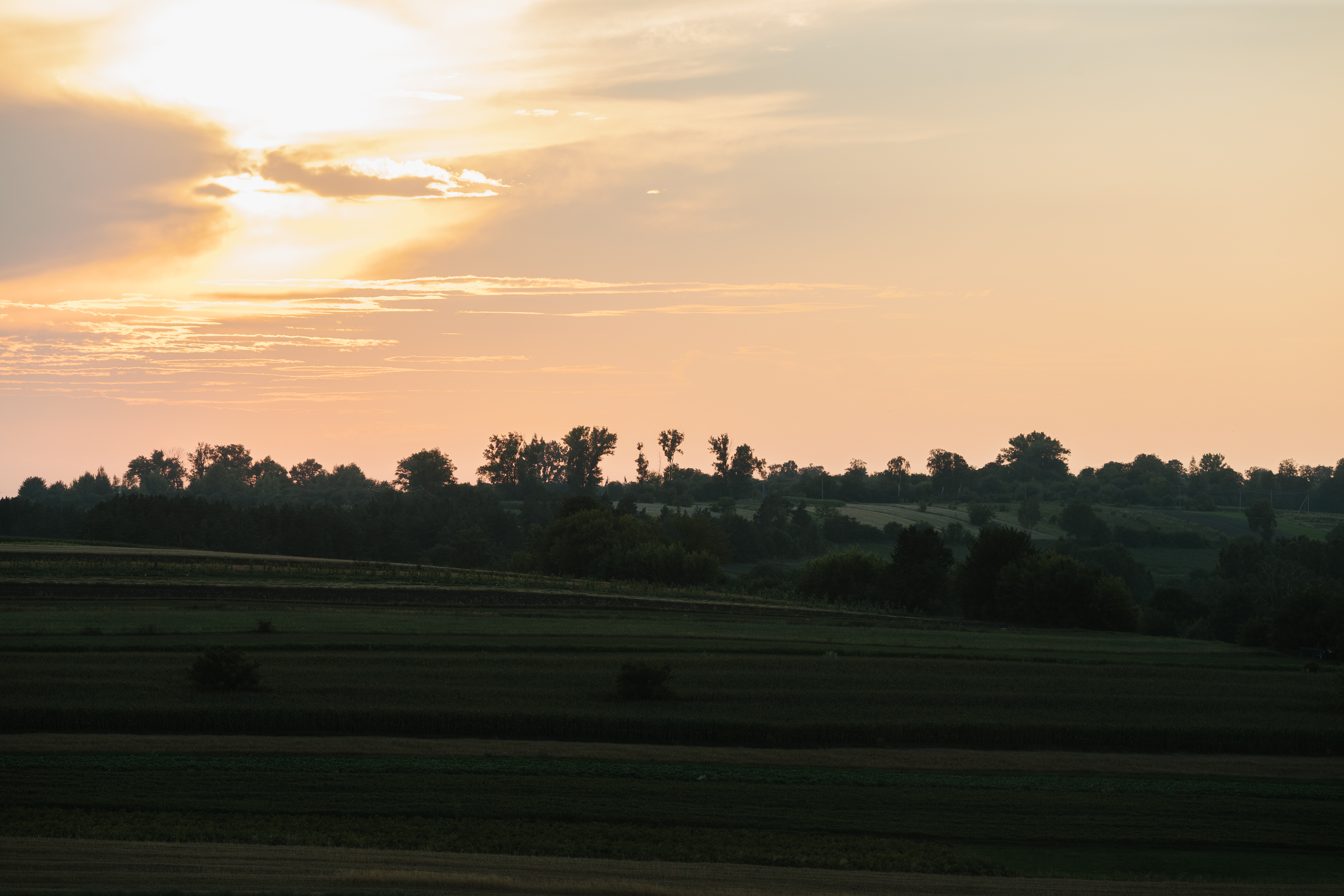 Desafios e estratégias para enfrentas as mudanças climáticas no agro