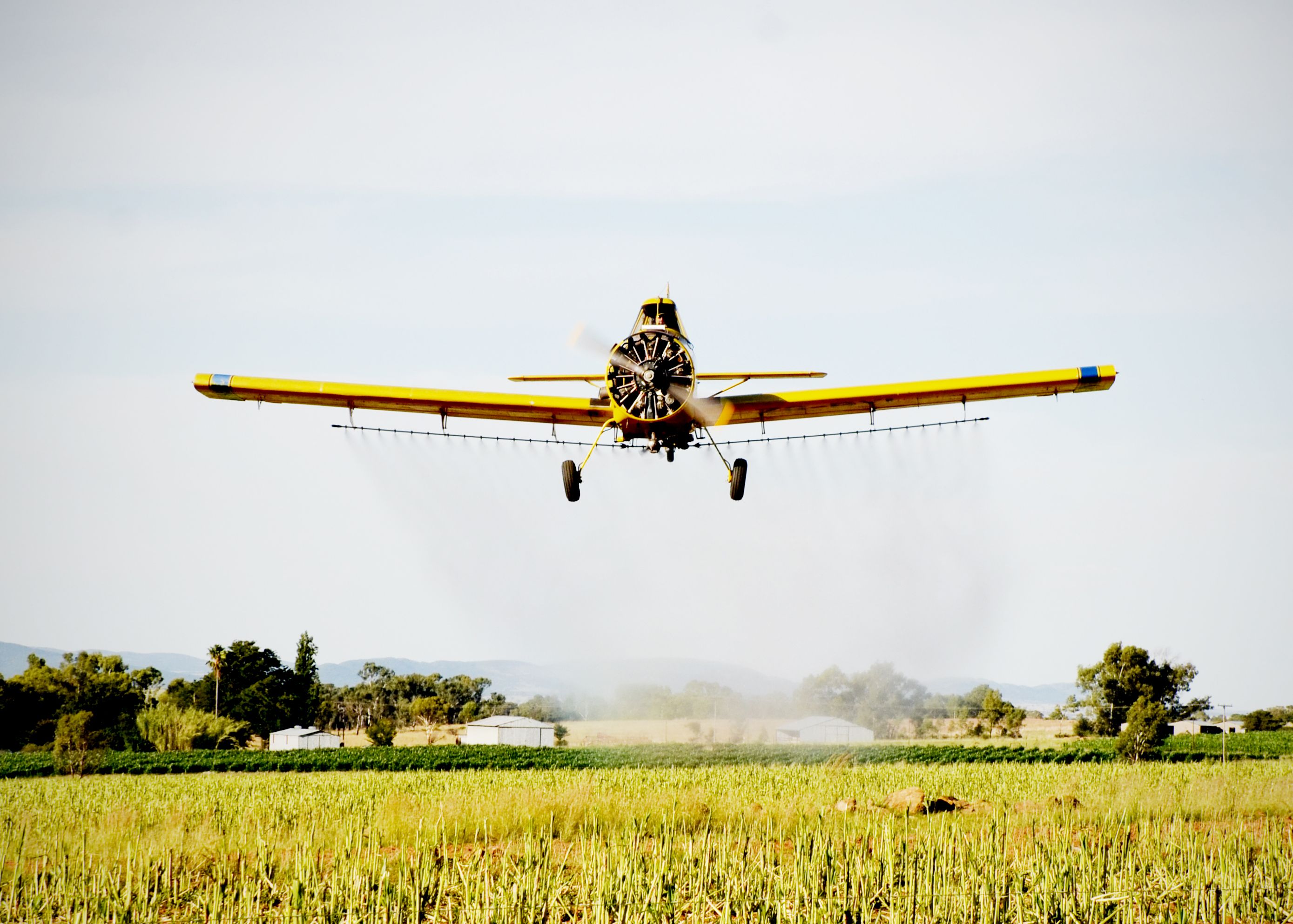 Aviação agrícola impulsiona produtividade e reduz custos no campo