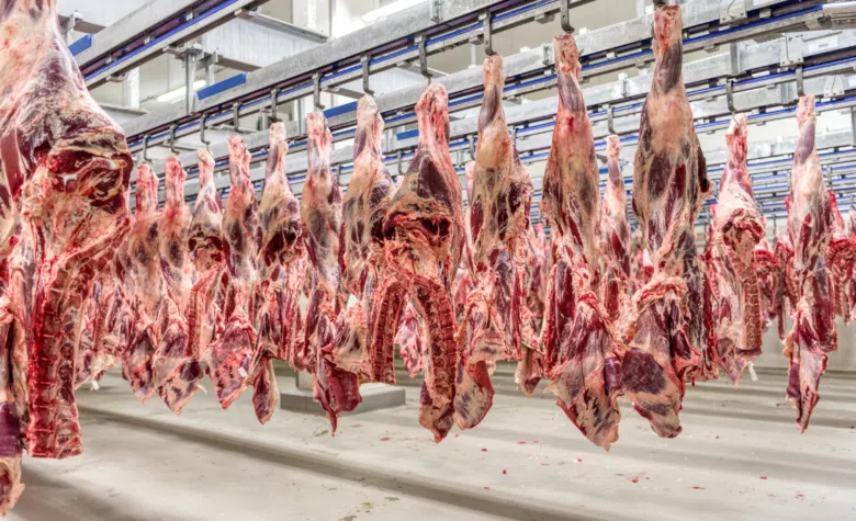 Produção de carnes ultrapassa 31 milhões de toneladas em 2024 e atinge novo recorde na série histórica