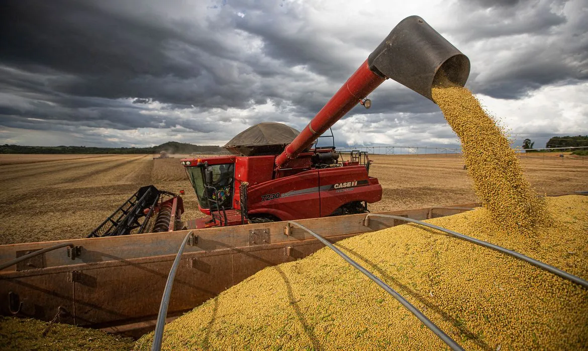 Após ano desafiador, agro brasileiro espera que 2025 seja mais próspero