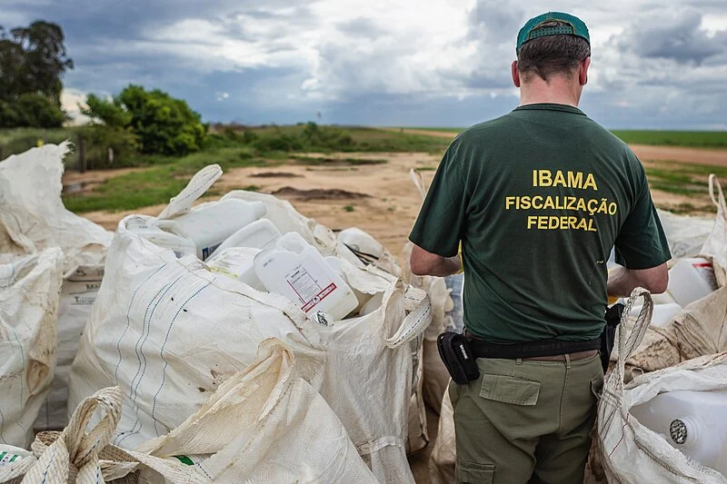 Fiscalização ambiental no Brasil: O papel dos entes federados e a Lei Complementar 140